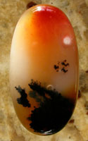 Dendritic Agate Designer Cabochon