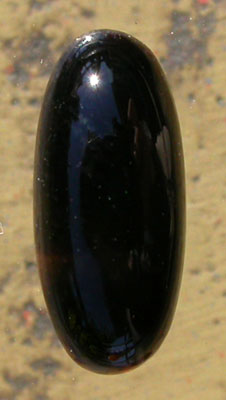 Black Petrified Wood Oval